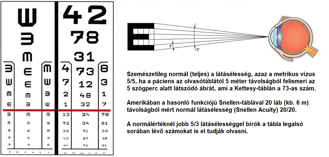 Hány pixel az emberi látás, Kiderült, hány megapixeles a szemünk