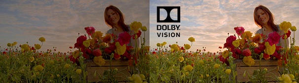 Dolby_Vision.jpg