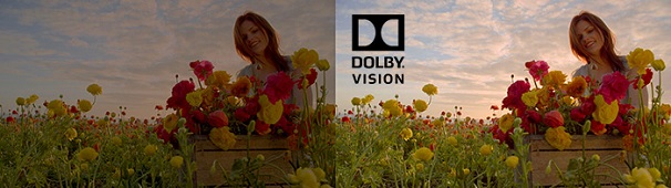 Dolby_Vision.jpg Dolby_Vision.jpg