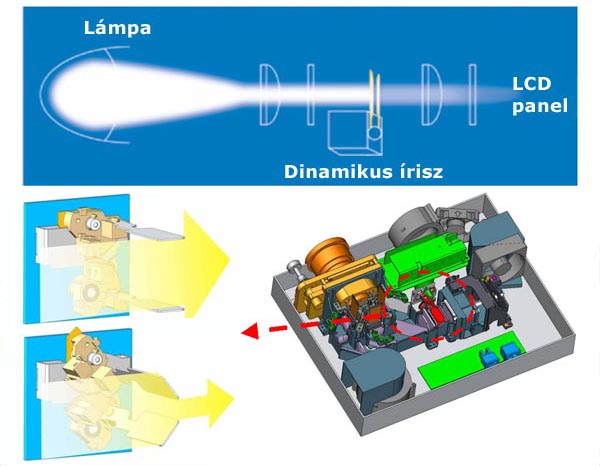 dinamikus írisz dinamikus írisz