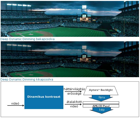 Deep Dynamic Dimming 