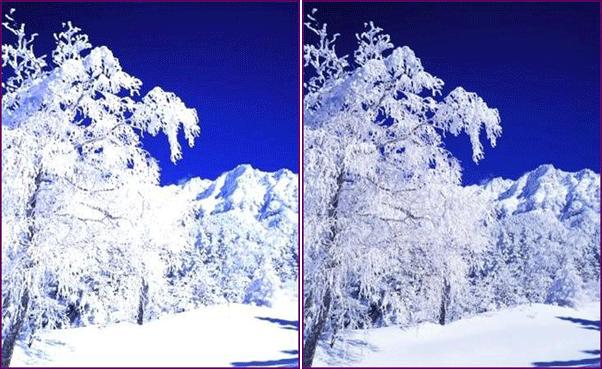 tw600_super_white_pic.jpg tw600_super_white_pic.jpg