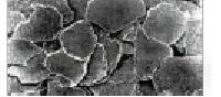 Polimer-injektált csillám_BR_mikroszkópikus képen